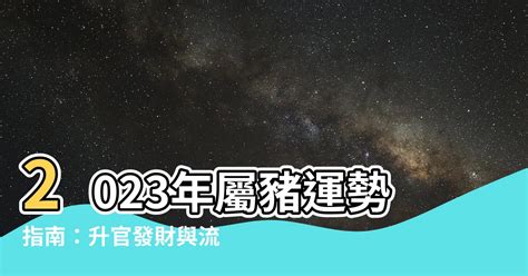 五行缺火的名字 2023屬豬運勢